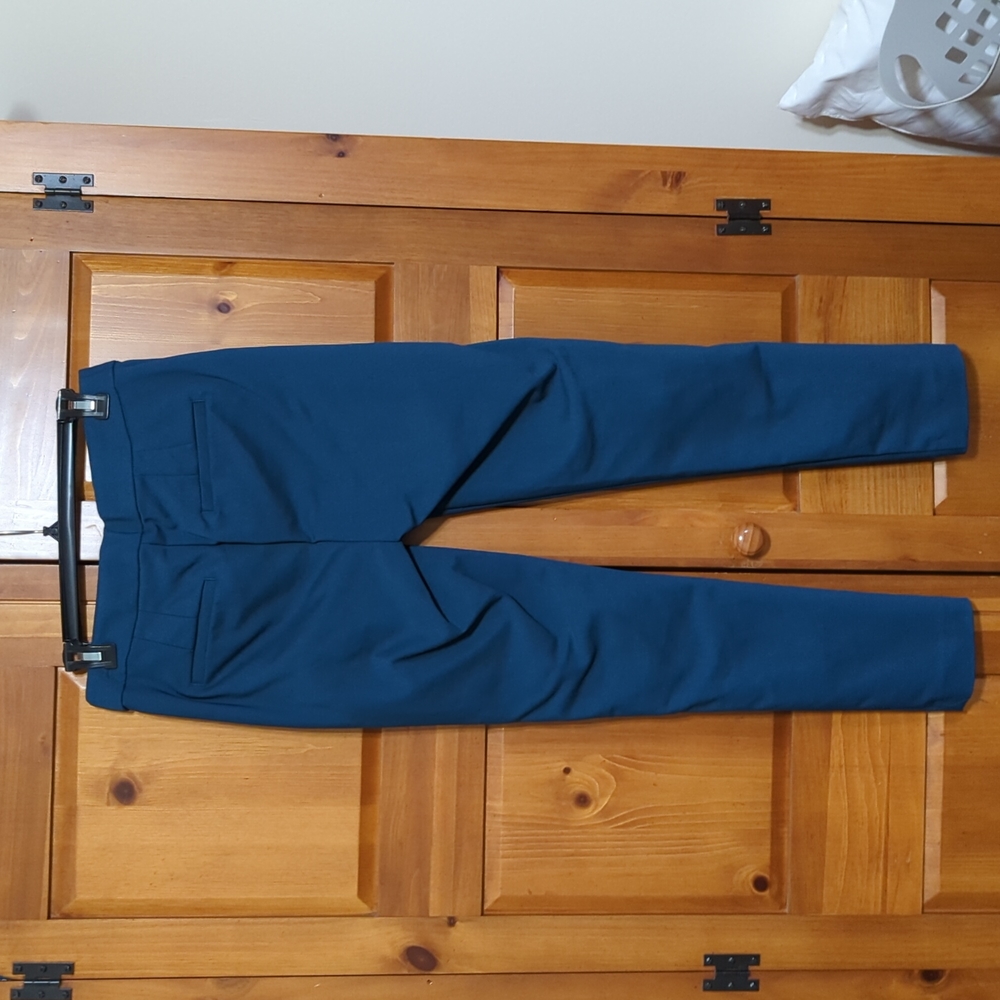 NWOT Loft Pants - Picture 6 of 10